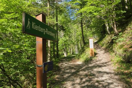 Waldweg mit Hinweistafel Kienberg-Rundweg und sonnigem Pfad zwischen Bäumen.