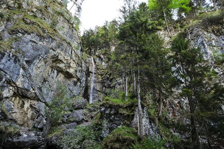 Ein hoher Wasserfall fällt an Felsen neben dichtem Wald herab.
