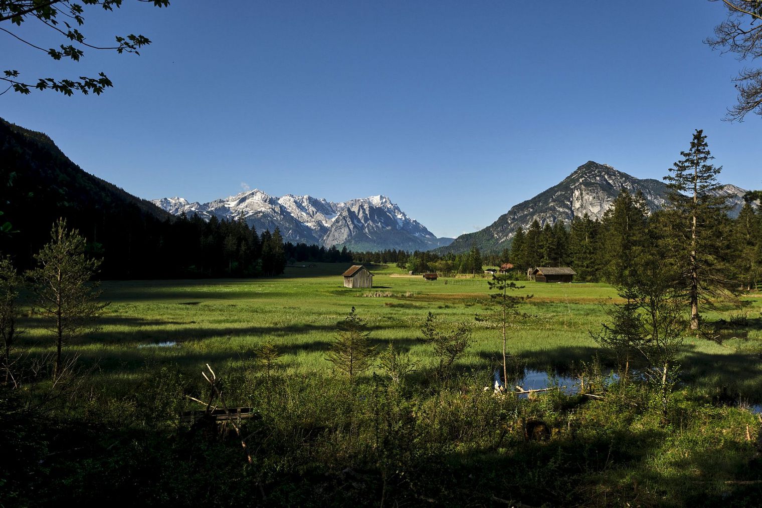 Landschaftsansicht mit grüner Wiese im Vordergrund, Heustadel und Tannen im Mittelgrund und schneebedeckten Bergen im Hintergrund unter klarem, blauem Himmel.